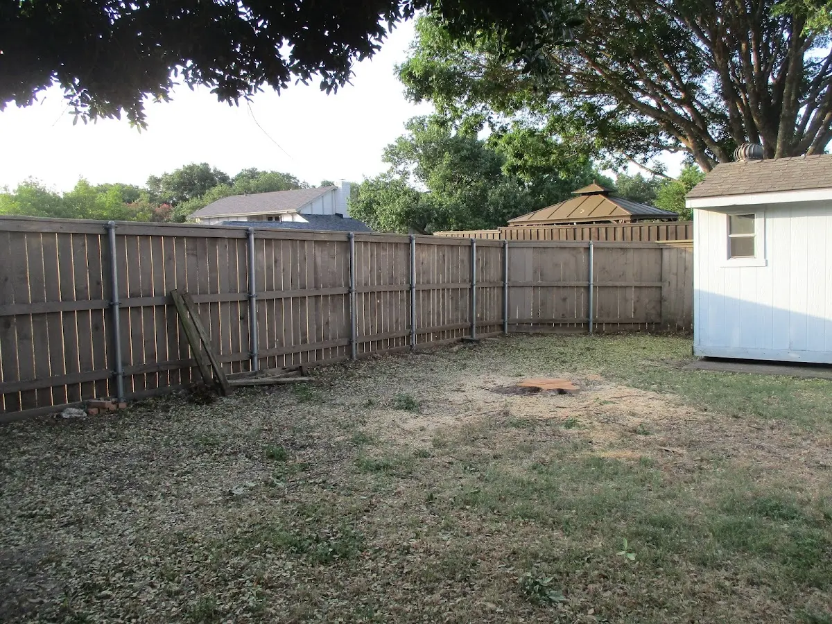 Cleared yard after professional tree removal in Royal Center