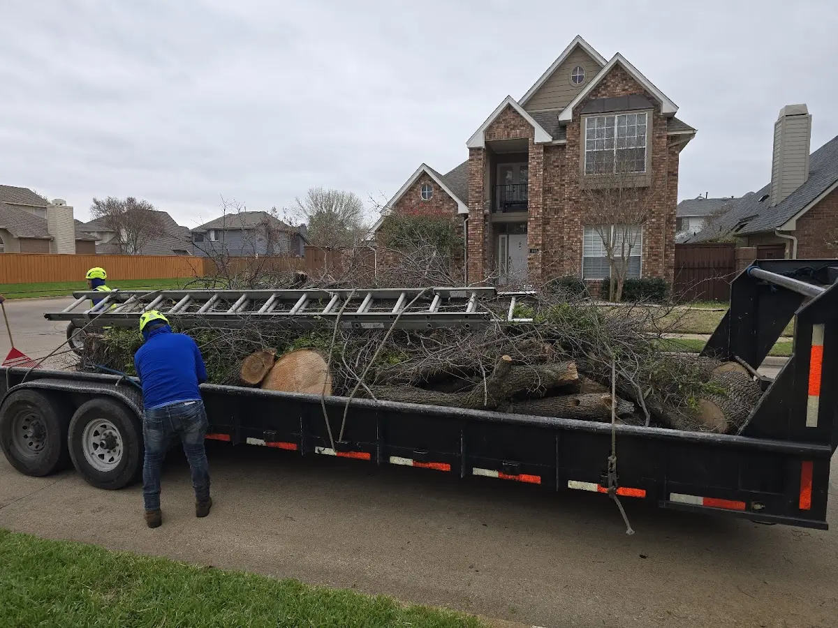 Expert Lot Clearing with proper safety equipment in Royal Center